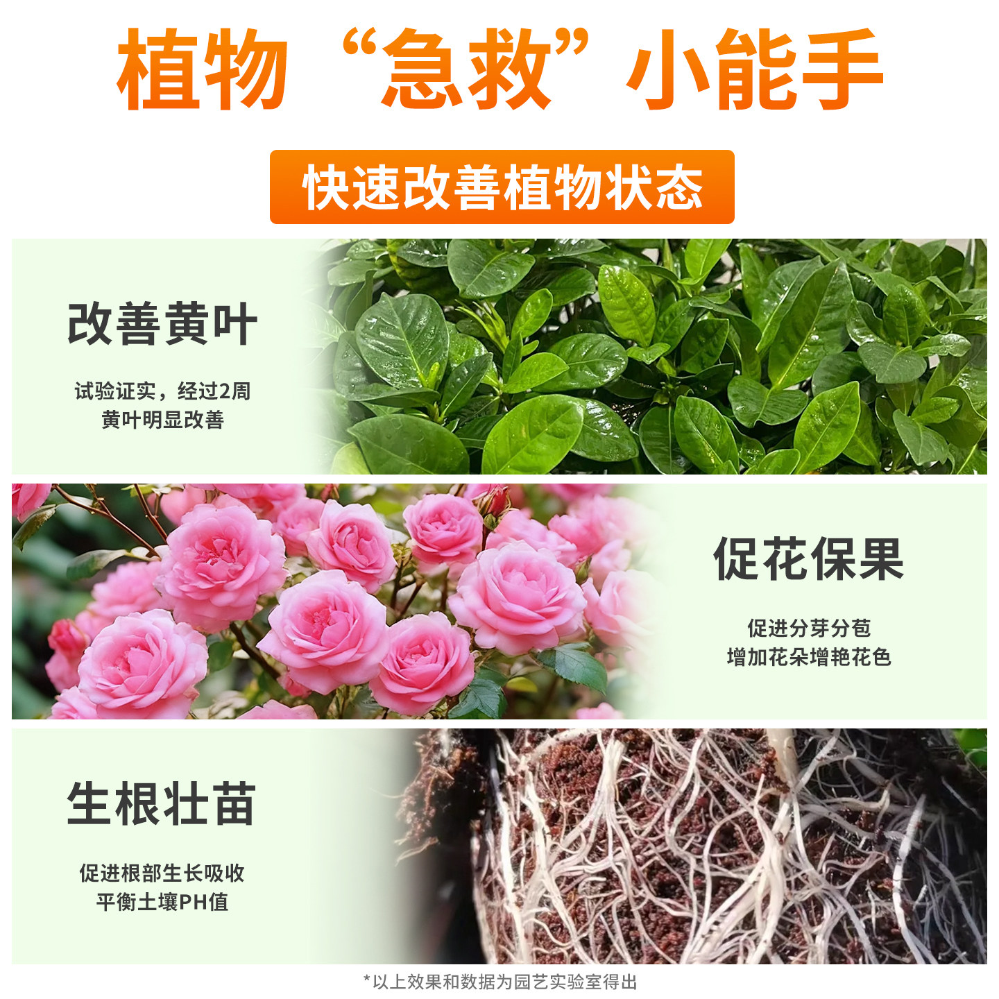 营养液植物通用型绿萝富贵竹发财树多肉水培养花卉绿植盆栽花肥料,淘宝优惠券,粉丝福利购,淘宝优惠卷