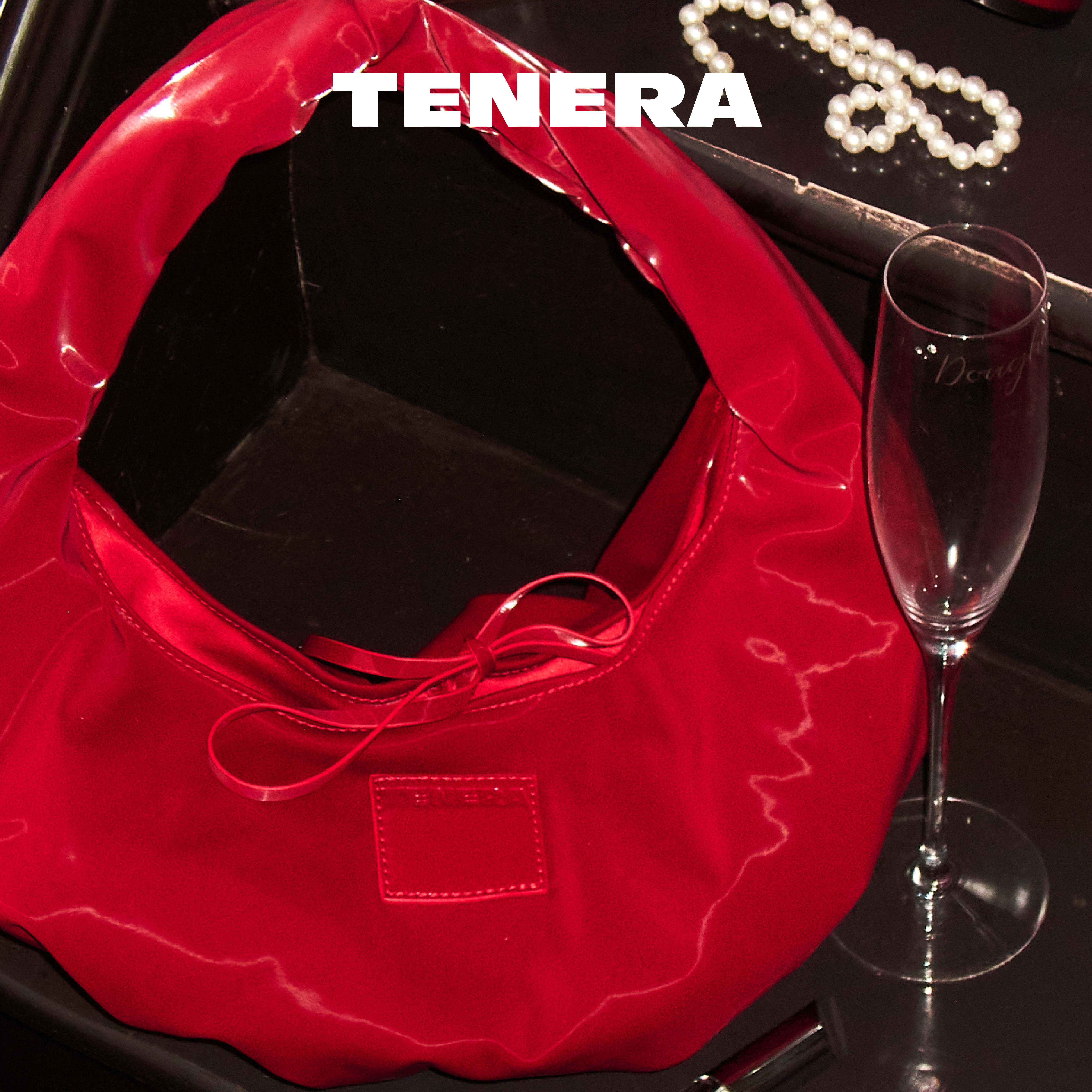 TENERA丝绒系列小号芭蕾hobo单肩包包女款2025新款手提腋下包通勤