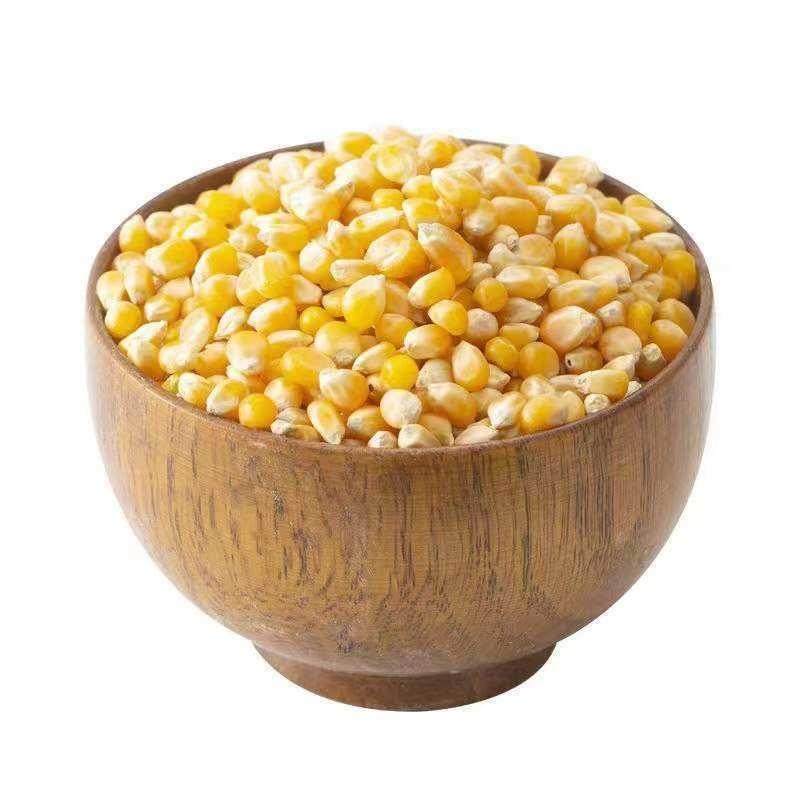爆米花专用玉米粒球形爆裂玉米自制爆米花的小玉米散装苞米粒2斤,淘宝优惠券,粉丝福利购,淘宝优惠卷