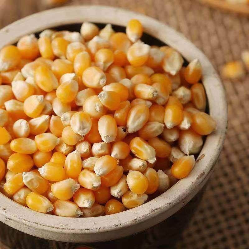 爆米花专用玉米粒球形爆裂玉米自制爆米花的小玉米散装苞米粒2斤,淘宝优惠券,粉丝福利购,淘宝优惠卷