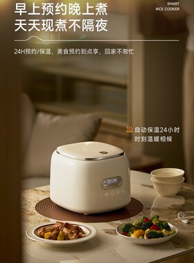日本原装进口110v伏电饭煲0涂层家用迷你小型电饭锅出口美国小家