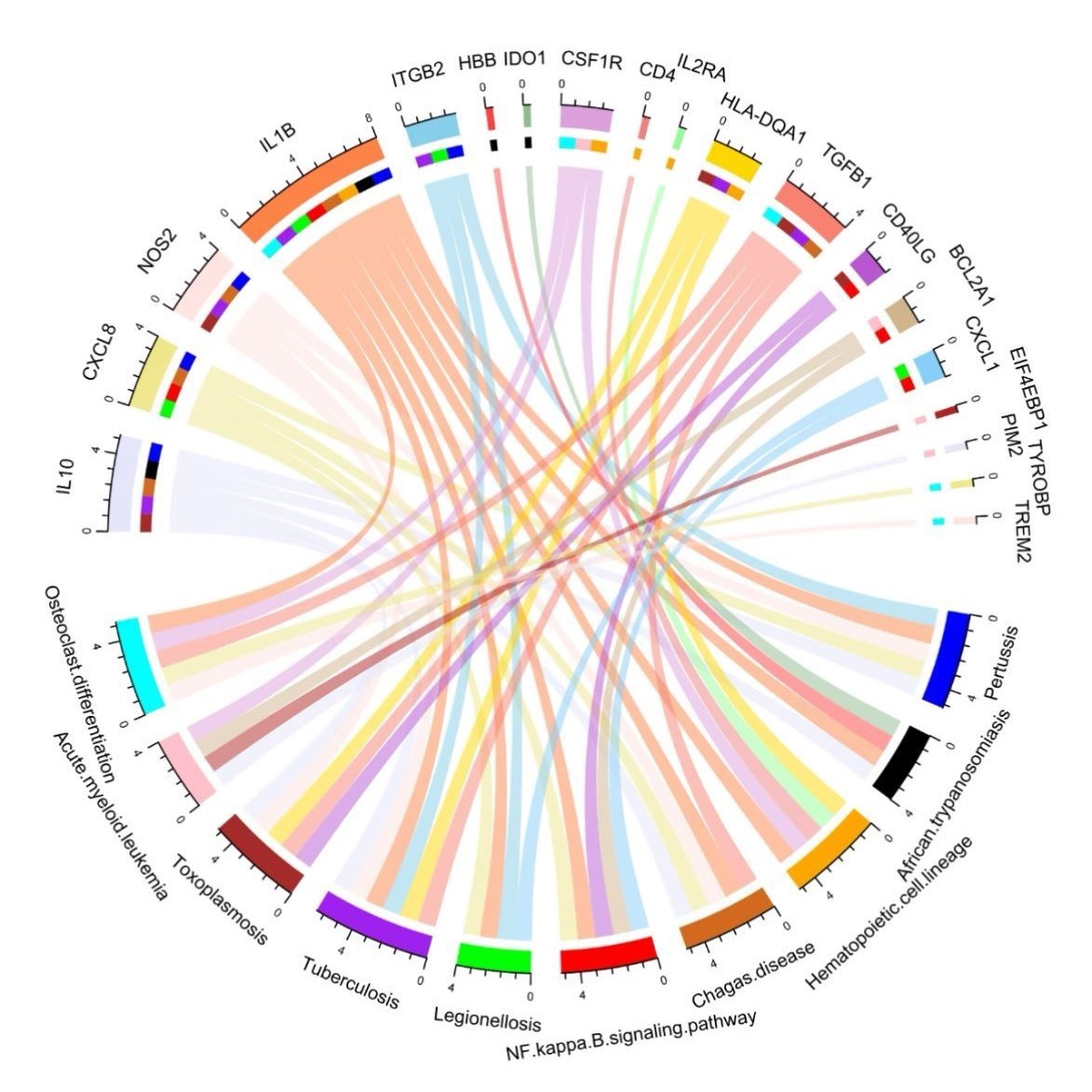 网络理学分子对接服务Gromacs动力学模拟DFT计算Pymol - 图0