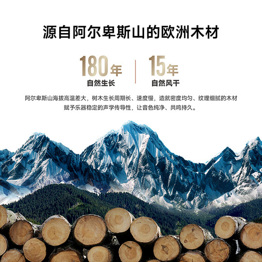 PHOENIX菲妮克斯小提琴初学者专业乐器院校练琴演奏实木纯手工琴