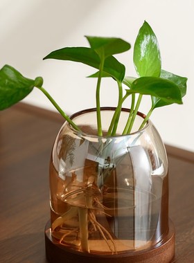 覆古玻璃小花瓶家用m电视柜水培插花器摆件办公室桌面精致绿植花