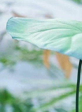 花园摆件动物鸭子户外庭院阳台客厅布置造景创意家居网红装饰品