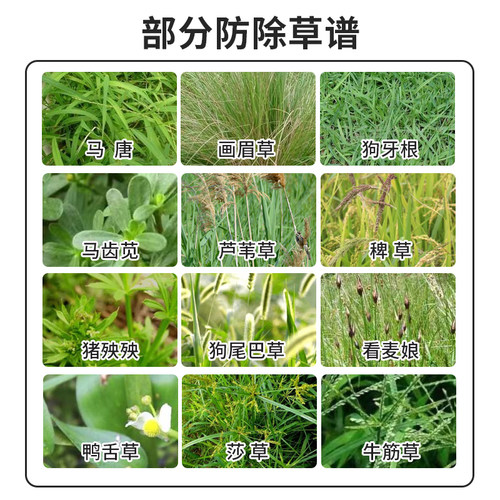【十年不长草】正品开荒神器强力除打草烂根剂荒地杂草微生物菌肥 - 图2
