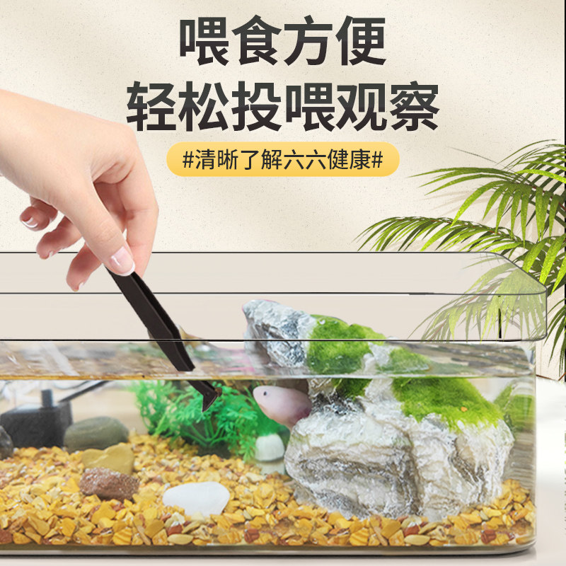 六角恐龙鱼缸造景美西螈专用缸躲避屋家用桌面蝾螈乌龟饲养缸饲料,淘宝优惠券,粉丝福利购,淘宝优惠卷