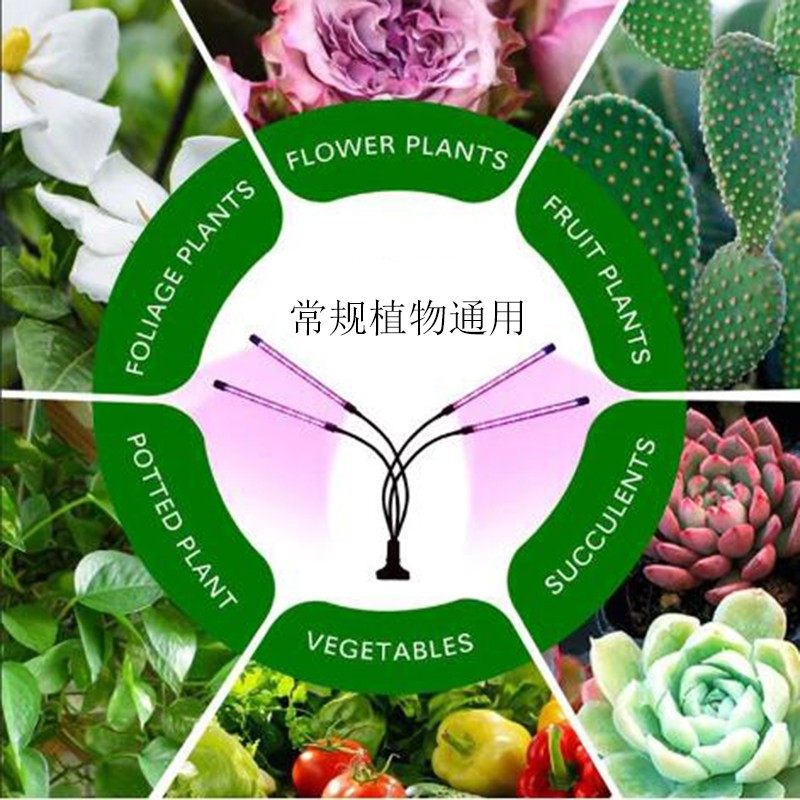 USB供电夹子式智能开关多肉补光灯水草上色LED花卉盆景植物灯生长,淘宝优惠券,粉丝福利购,淘宝优惠卷