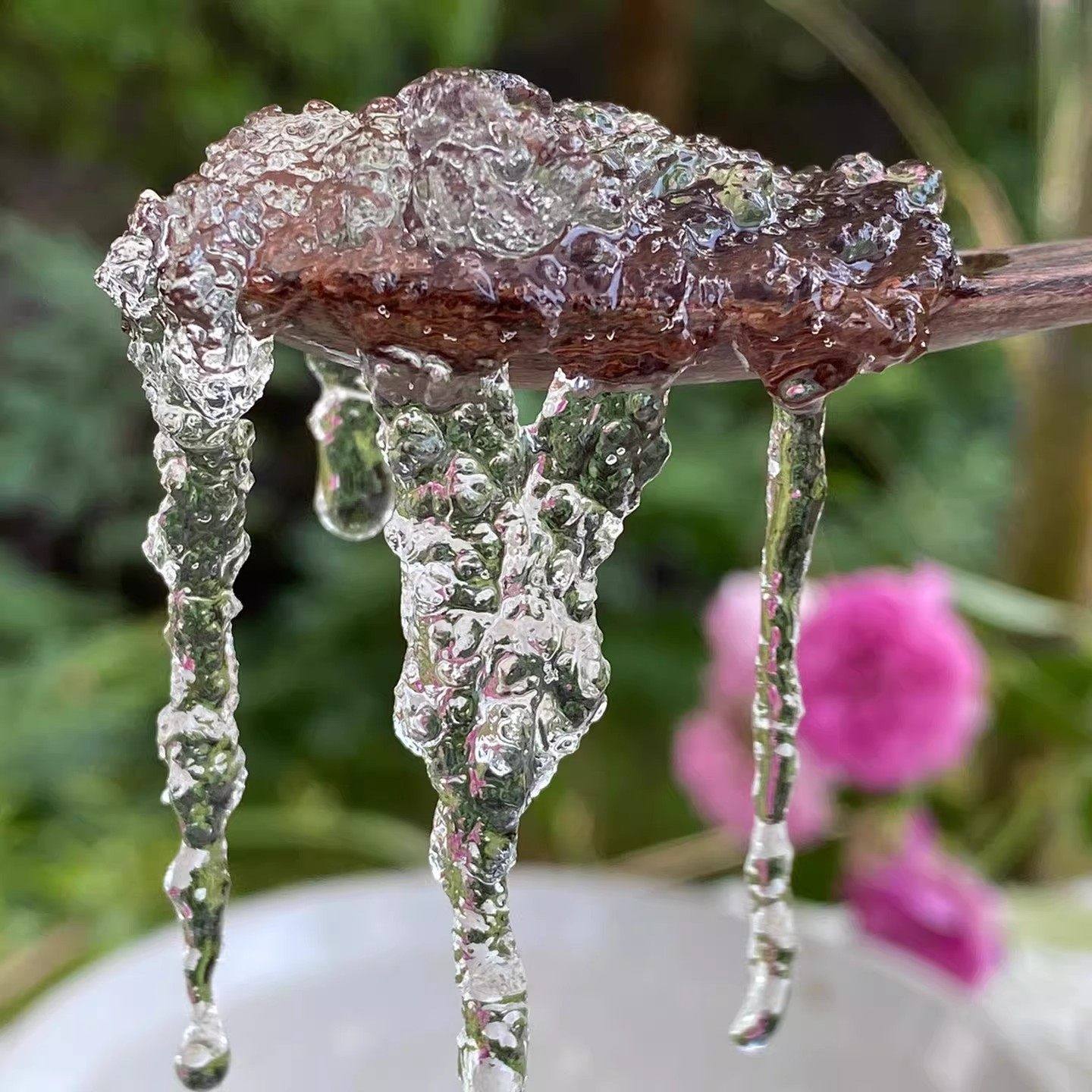 精选特级天然雪燕干货野生500g拉丝商用可搭配桃胶皂角米,淘宝优惠券,粉丝福利购,淘宝优惠卷