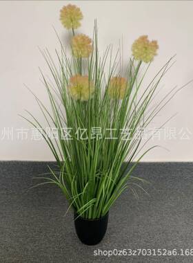 仿真花仿真洋葱草芦苇草狗尾巴仿真植物盆栽家居装饰假花摆件