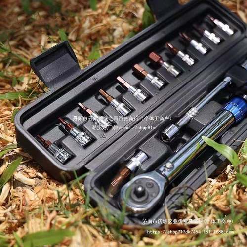 EPR置式可调式维扭力公斤预扳手高精度力矩自行车内六角工修具装 - 图1