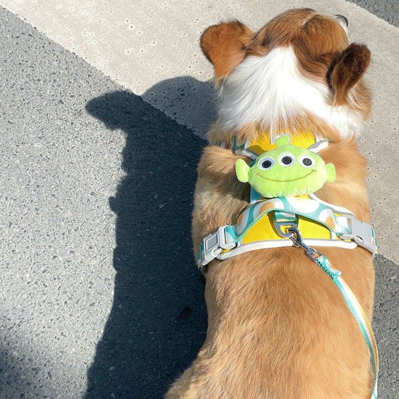 宠物遛狗绳金毛泰迪柯基背心式背带猫牵引绳防挣脱放爆冲胸背用品,淘宝优惠券,粉丝福利购,淘宝优惠卷