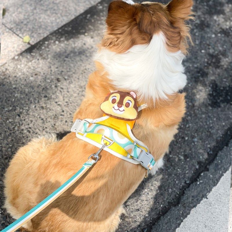宠物遛狗绳金毛泰迪柯基背心式背带猫牵引绳防挣脱放爆冲胸背用品,淘宝优惠券,粉丝福利购,淘宝优惠卷