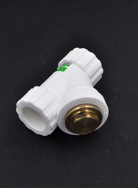 PPR全塑活接活接头过滤器止回阀活接20 4分25PPR水管管件配件