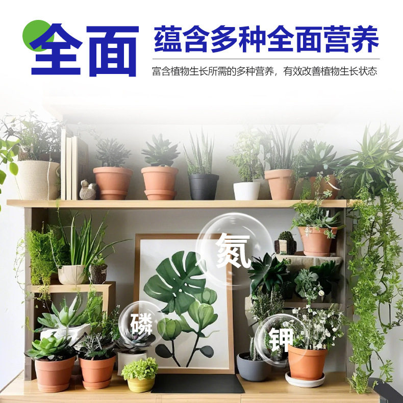 艾尚棵植物再生剂花卉通用型浓缩营养液绿植水培多肉盆栽水溶肥,淘宝优惠券,粉丝福利购,淘宝优惠卷