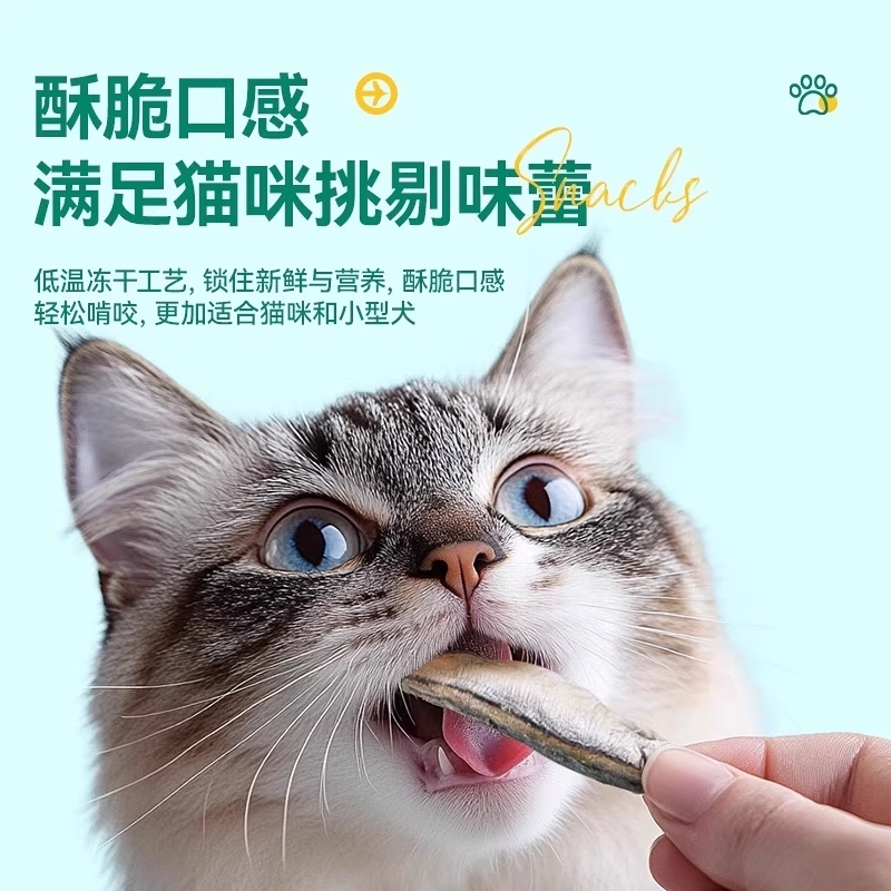 小鱼干猫猫零食宠物冻干多春鱼无盐猫咪零食成猫猫粮磨牙营养补钙,淘宝优惠券,粉丝福利购,淘宝优惠卷