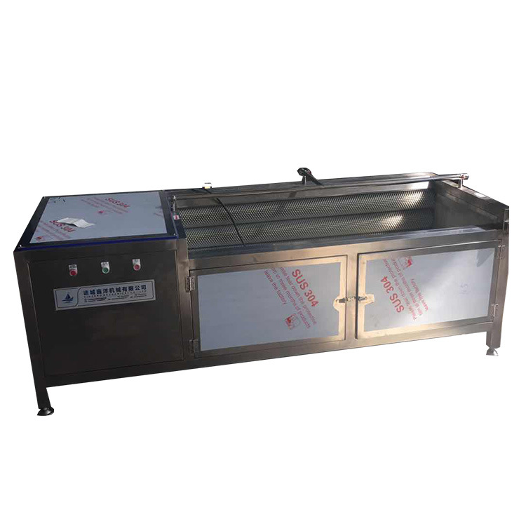 毛刷海蛎子去泥清洗机 胡萝卜莲藕去皮清洗机 商用毛辊清洗设备 - 图3