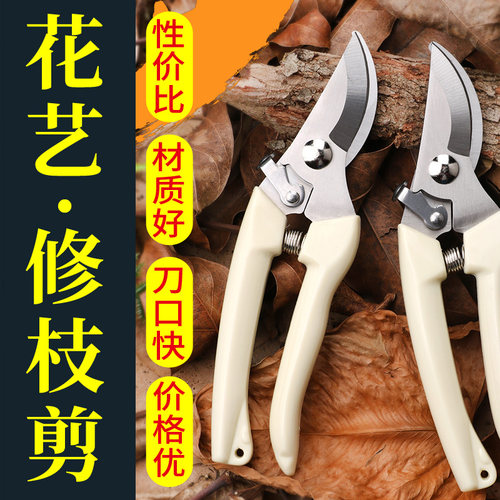 花剪园艺剪刀插花修枝剪省力修剪树枝果树竹签花卉专用花艺剪剪子 - 图0