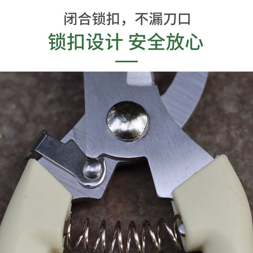 花剪园艺剪刀插花修枝剪省力修剪树枝果树竹签花卉专用花艺剪剪子 - 图3