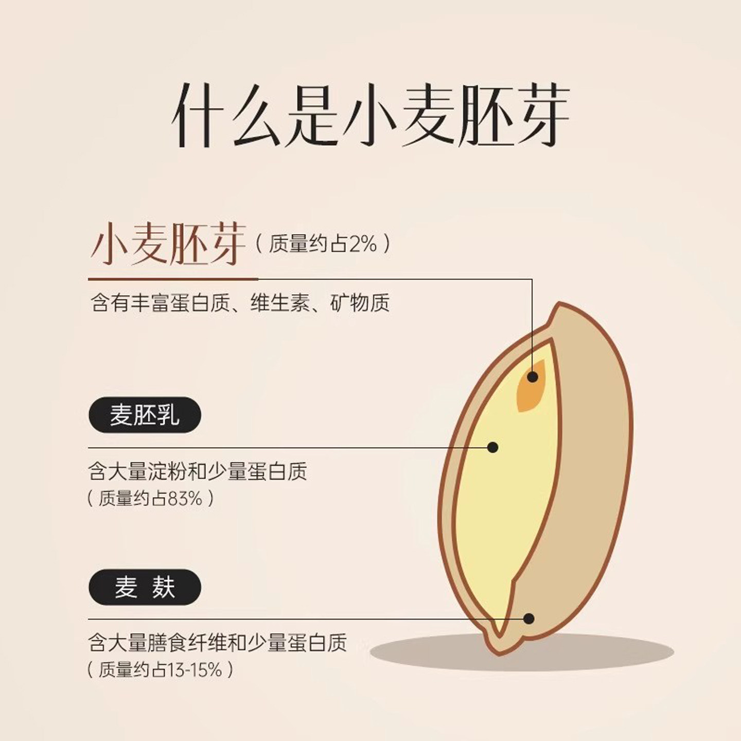富硒纯小麦胚芽官方旗舰店正宗优质原味代餐独立小包装高蛋白早餐