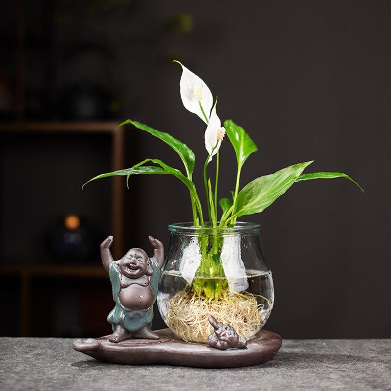 创意水培白掌玻璃瓶透明水养绿萝花瓶客厅植物摆件情侣可爱小花,淘宝优惠券,粉丝福利购,淘宝优惠卷