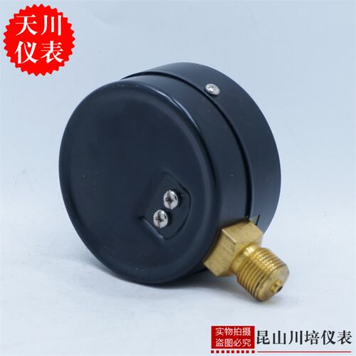 上海天川仪表厂Y-75一般弹簧管普通压力表STCIF3寸表面G3/8螺纹 - 图1