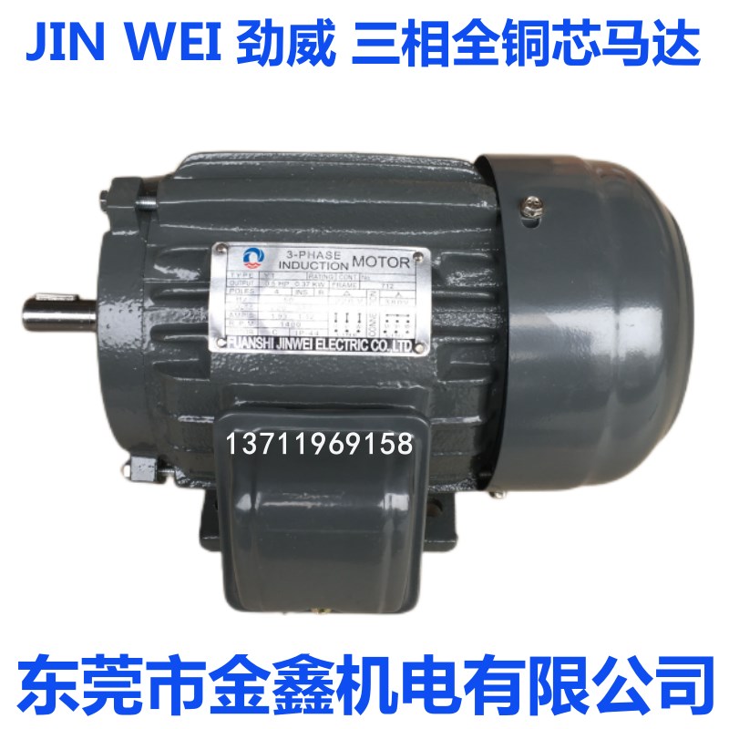 JIN WEI(劲威) LIXIANG(力象)三相马达电机 0.37KW~30KW-2极卧式 - 图1