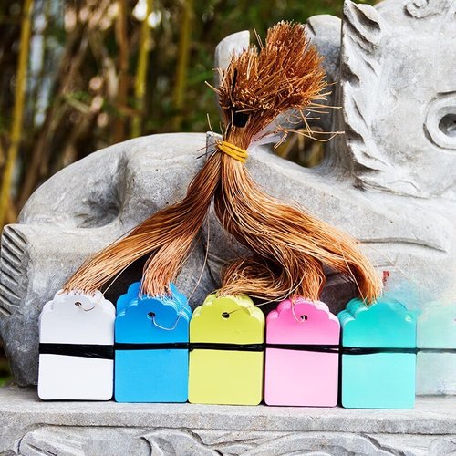 100张PVC彩色塑料植物吊签牌花卉园艺盆栽小挂牌苗木吊牌多肉标签 - 图1