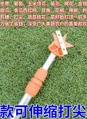 新款农用电动伸缩固定杆打尖神器冬枣菊花金银花豆角西红柿