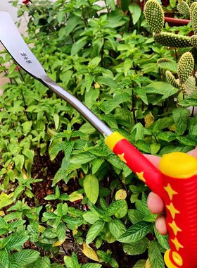 挖蒜铲子园艺铲子挖荠菜挖蒲公英移栽花苗菜苗小铲子