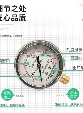 耐震抗震防震压力表YN-60充油压力表液压表耐震真空表青岛布莱迪
