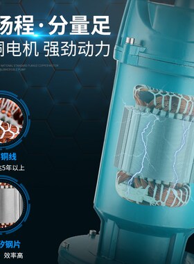 潜水泵家用220V抽水机高扬程泥浆抽水泵小型排污泵农用灌溉清水泵