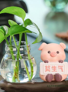 创意有趣莫生气小猫宠物绿植水培装饰品办公桌好物工位飘窗摆件无