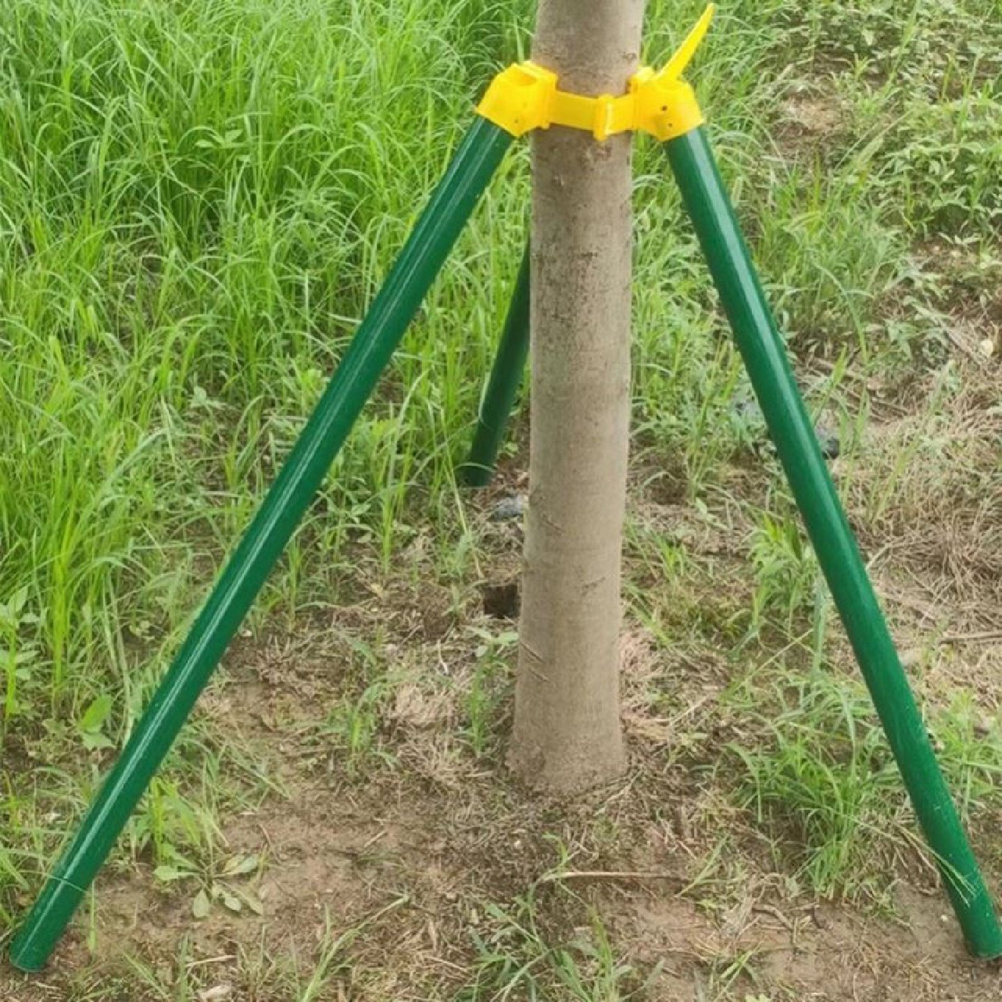 镀锌钢管树木支撑架树苗支架绿化树木支撑杆三四角架套餐固定支架 - 图3