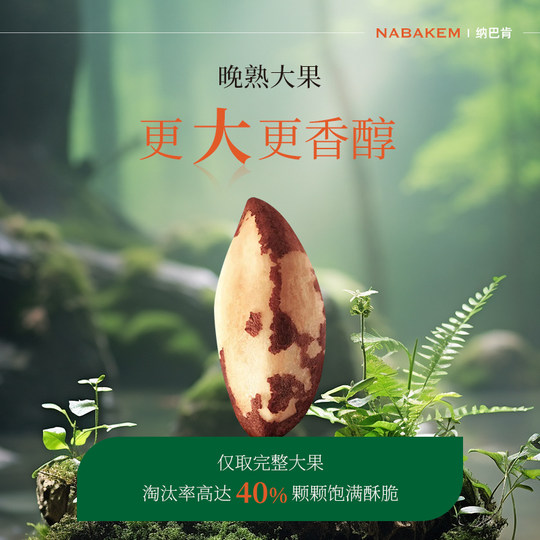 Nabacan 500g Brazil Nut Extra Large Abalone Fruit