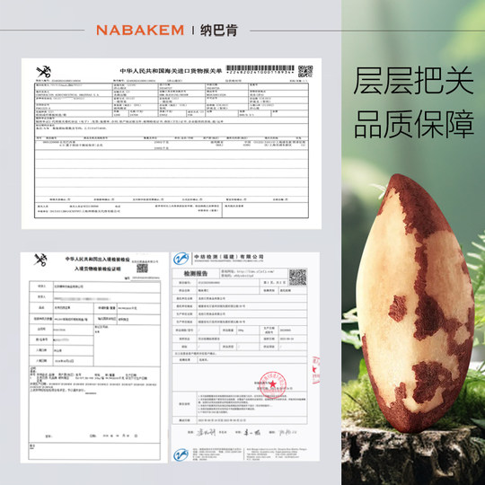 Nabacan 500g Brazil Nut Extra Large Abalone Fruit