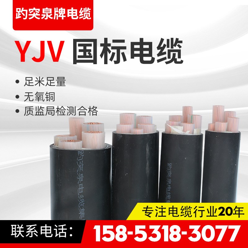 YJV保检测四芯电缆0.6/1KV三芯YJV22阻燃防老化电缆线电缆五芯 - 图2