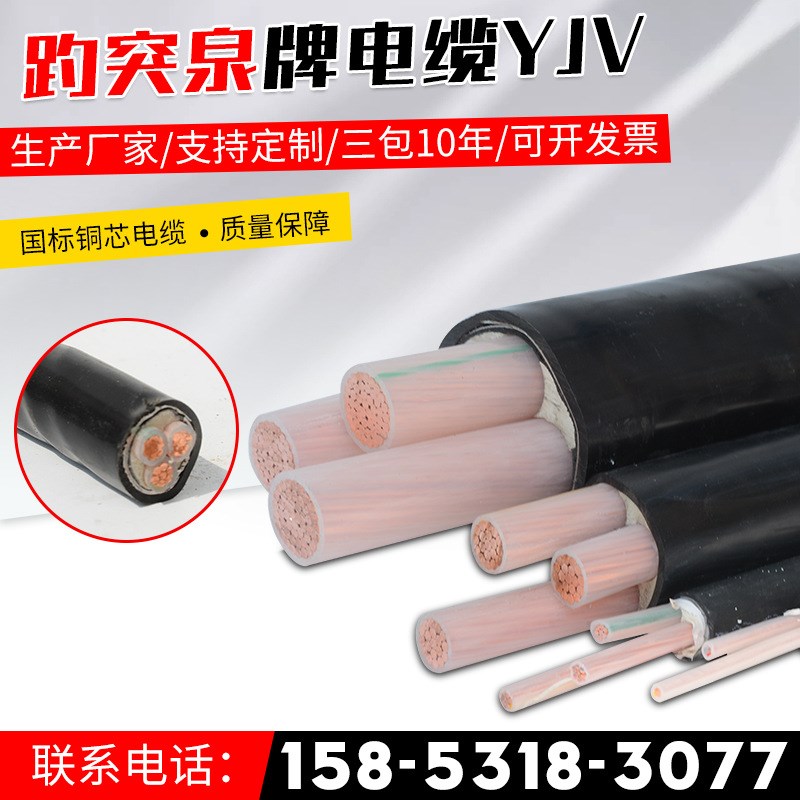 YJV保检测四芯电缆0.6/1KV三芯YJV22阻燃防老化电缆线电缆五芯 - 图1