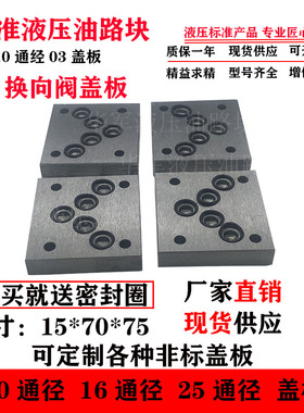 液压系统油路块盖板定做非标阀块集成块动力单元集成油路块堵板