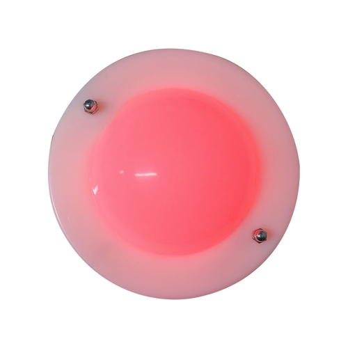 人体导电球验电器 人体导电灯 小学科学教具 探究人体导电教学仪器 检测物体导电性实验材料导体绝缘体 - 图3