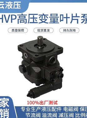 电动高压变量叶片泵 HVP30-140  HVP40-140液压站泵头14mpa