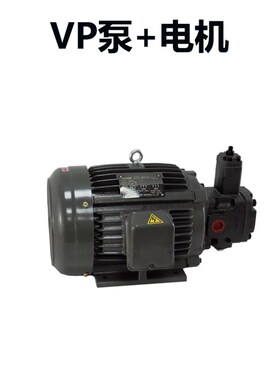 花键液压油泵电机组0.75KW+VP20 1.5KW+VP20 2.2KW台湾VILLEFORT