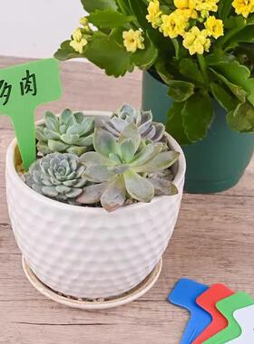 园艺加厚指示标识植物标签插牌