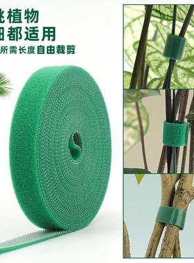 植物绑带扎带双面爬藤魔术贴固定
