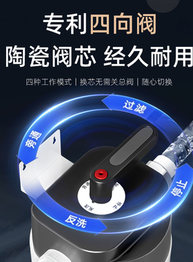 得湃大白瓶前置过滤器家用
