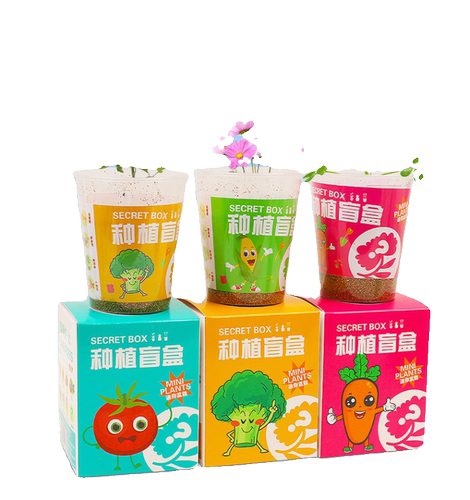 儿童种植小盆栽蘑菇盒子养殖盒学生观察绿植盲盒幼儿园科学材料 - 图3