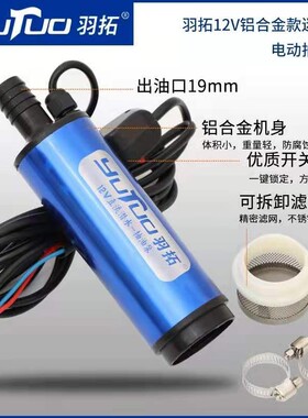 抽油泵12V电动直流柴油加油机24V电动抽油泵自吸潜水泵油抽子抽油