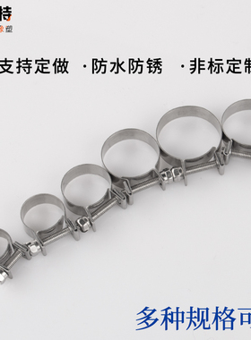 304不锈钢迷你强力箍不锈钢喉箍卡箍抱箍小卡箍汽车fsae油管卡箍