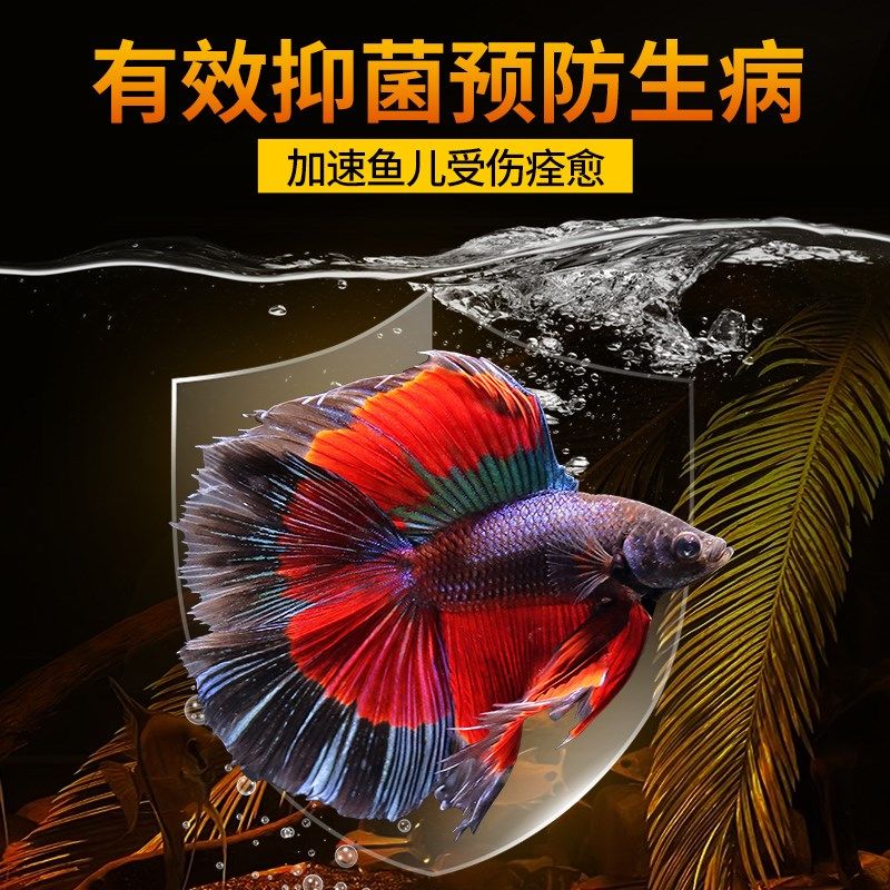 鱼缸榄仁叶养龟龙眼叶水族斗鱼懒人叶降酸调节水质Ph值乌龟橄榄叶,淘宝优惠券,粉丝福利购,淘宝优惠卷
