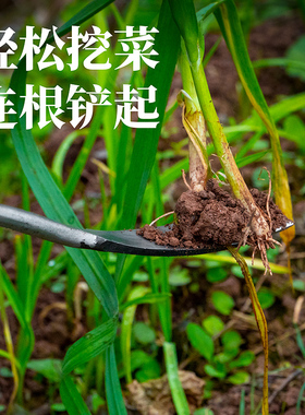挖荠菜挖蒜铲子园艺挖野菜神器种花工具铁铲种菜除草挖土拔草户外